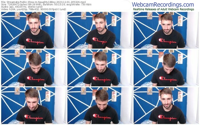 streamate-naughty18boy-12-01-2023-20-53-26