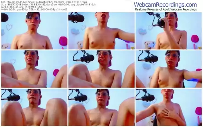 streamate-arielfemboy23-12-02-2023-03-19-16