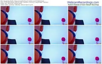 streamate-arielfemboy23-12-02-2023-04-28-39