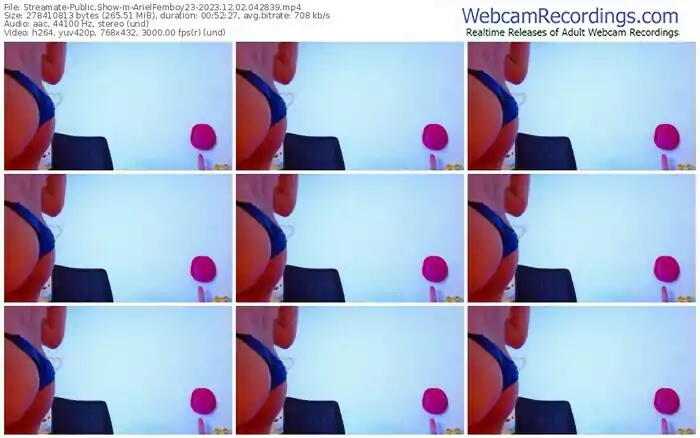 streamate-arielfemboy23-12-02-2023-04-28-39