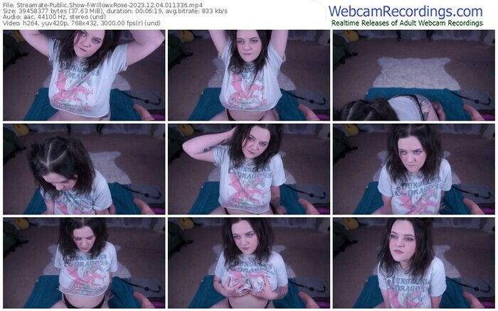 streamate-willowxrose-12-04-2023-01-13-36