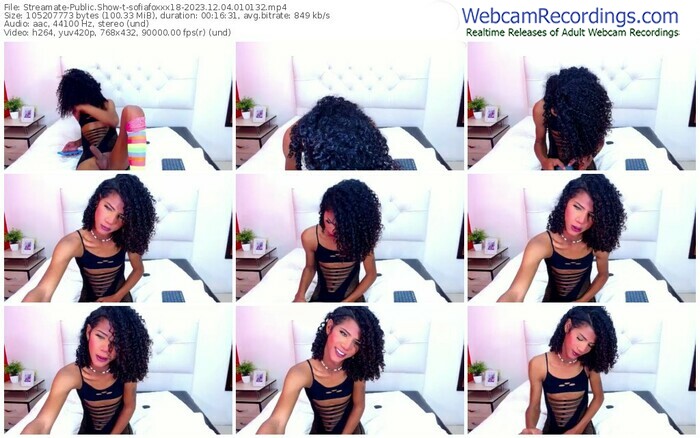 streamate-sofiafoxxx18-12-04-2023-01-01-32