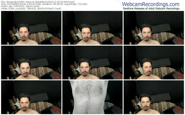 streamate-metalstud-12-05-2023-01-34-56