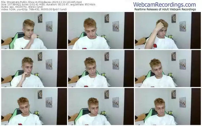 streamate-filipdaviex-12-10-2023-14-14-45