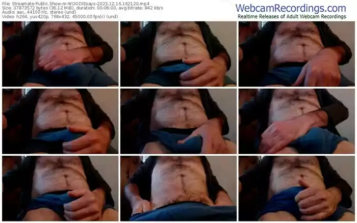 streamate-woodiesays-12-16-2023-16-21-20