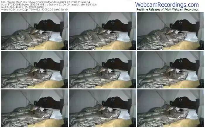 streamate-cuckholdgoddess-12-17-2023-09-03-14