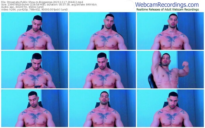 streamate-biiggeorge-12-17-2023-20-44-12