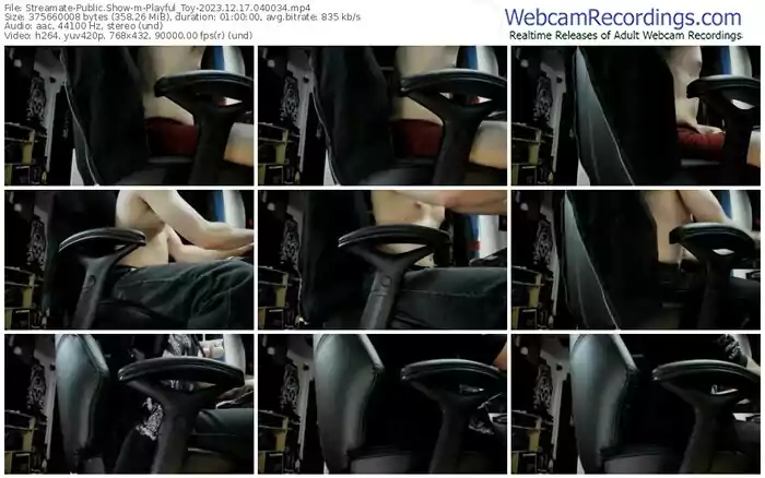 streamate-playful_toy-12-17-2023-04-00-34