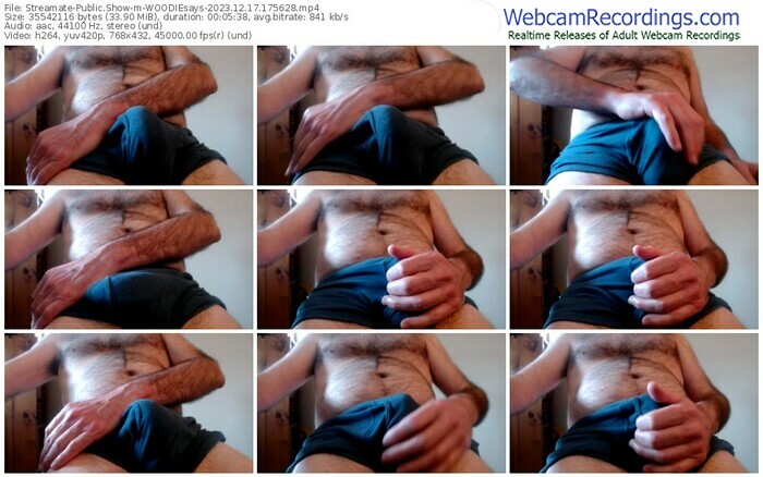 streamate-woodiesays-12-17-2023-17-56-28