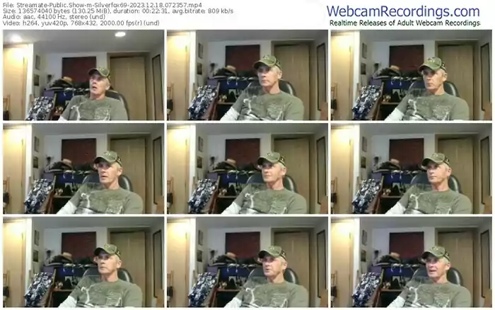 streamate-silverfox69-12-18-2023-07-23-57