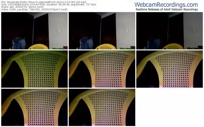 streamate-japonesboos-12-19-2023-06-11-20