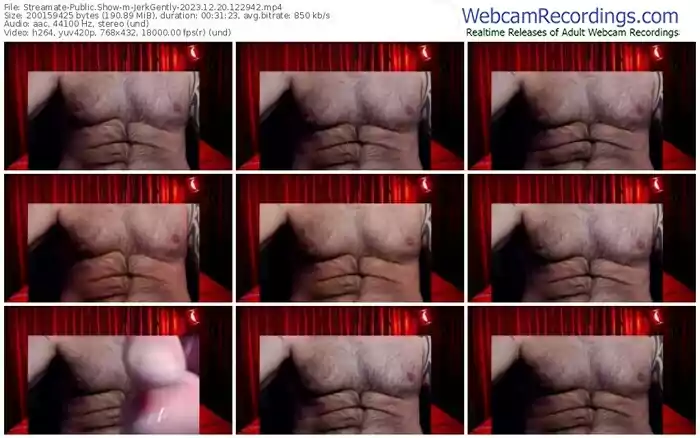 streamate-jerkgently-12-20-2023-12-29-42