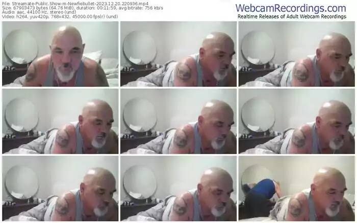 streamate-newfiebullet-12-20-2023-22-09-36