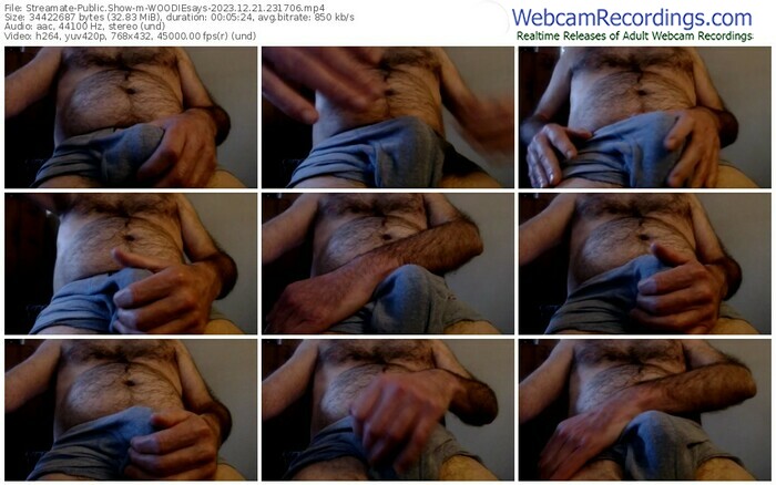 streamate-woodiesays-12-21-2023-23-17-06