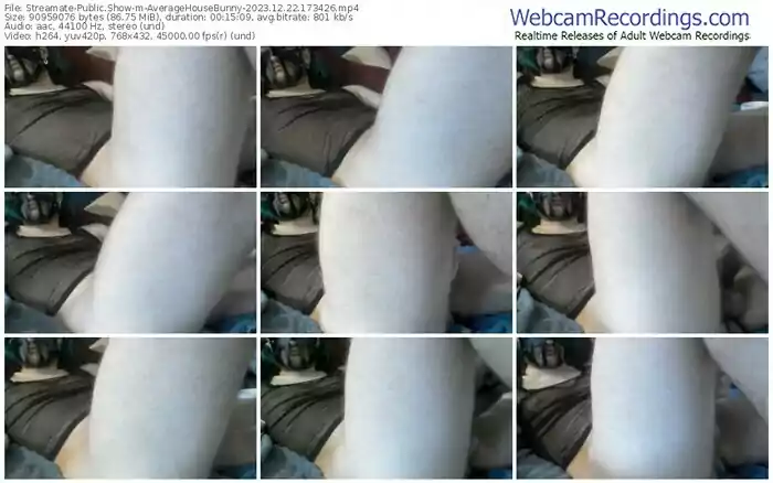 streamate-averagehousebunny-12-22-2023-17-34-26