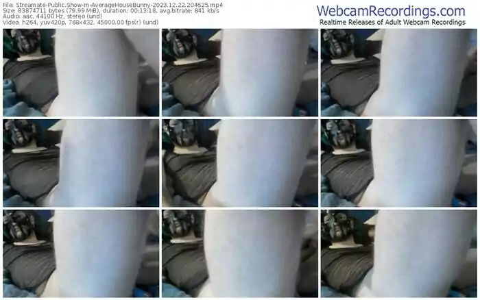 streamate-averagehousebunny-12-22-2023-20-46-25