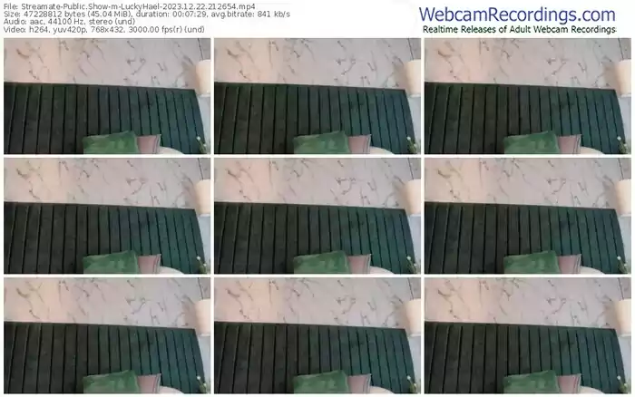 streamate-luckyhael-12-22-2023-21-26-54