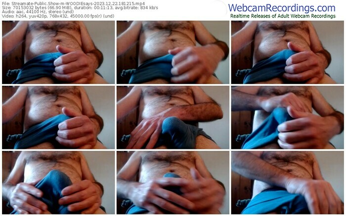 streamate-woodiesays-12-22-2023-18-12-15