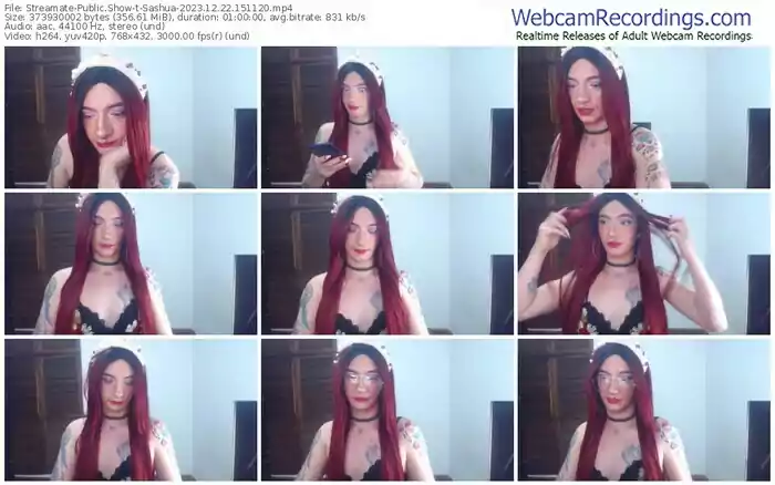 streamate-sashua-12-22-2023-15-11-20