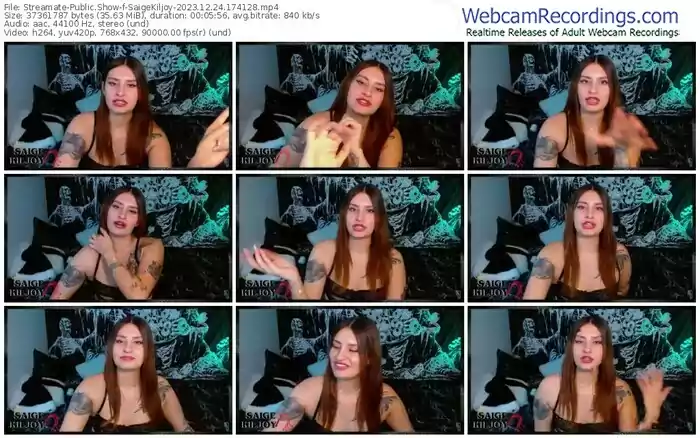 streamate-saigekiljoy-12-24-2023-17-41-28