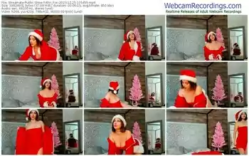 streamate-ahri_fox-12-25-2023-10-54-59