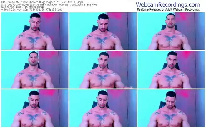 streamate-biiggeorge-12-25-2023-03-38-18
