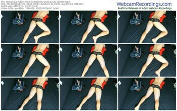 streamate-rabochii-12-25-2023-19-39-36