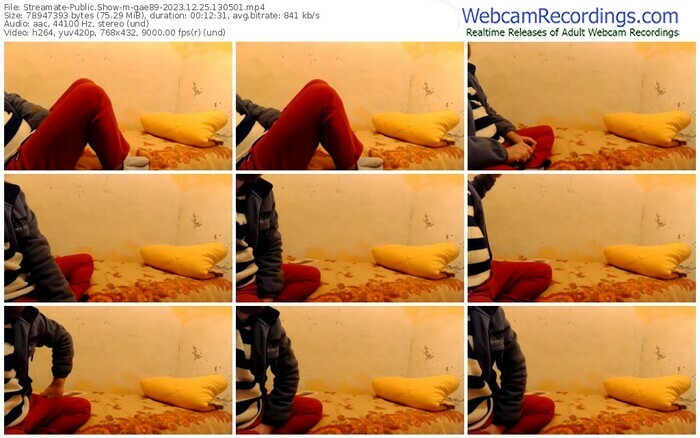 streamate-gae89-12-25-2023-13-05-01