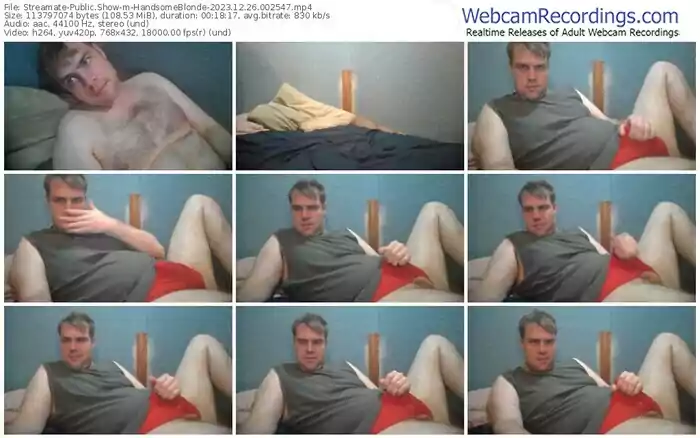 streamate-handsomeblonde-12-26-2023-00-25-47