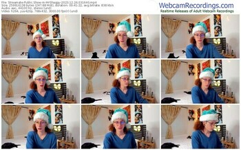 streamate-mrshaggy-12-26-2023-03-16-40
