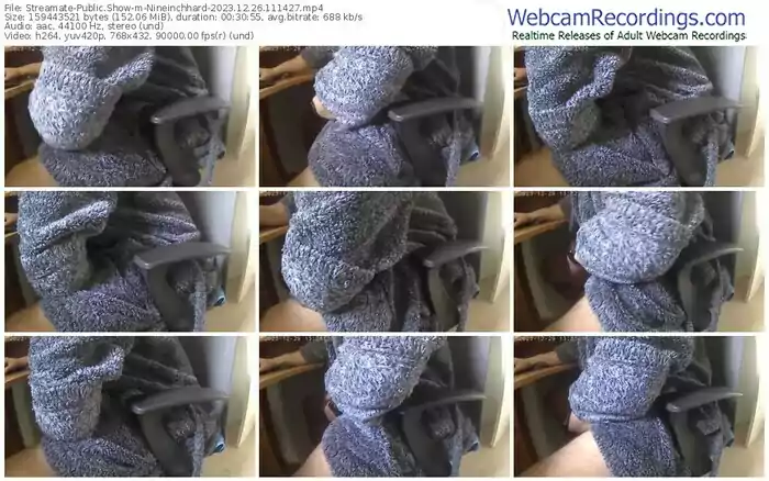 streamate-nineinchhard-12-26-2023-11-14-27