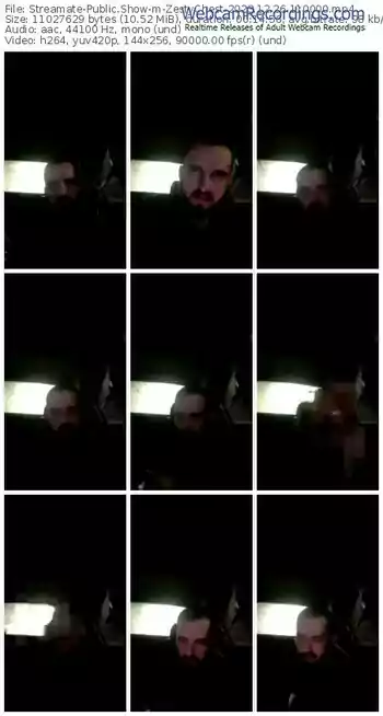 streamate-zestychest-12-26-2023-11-00-00