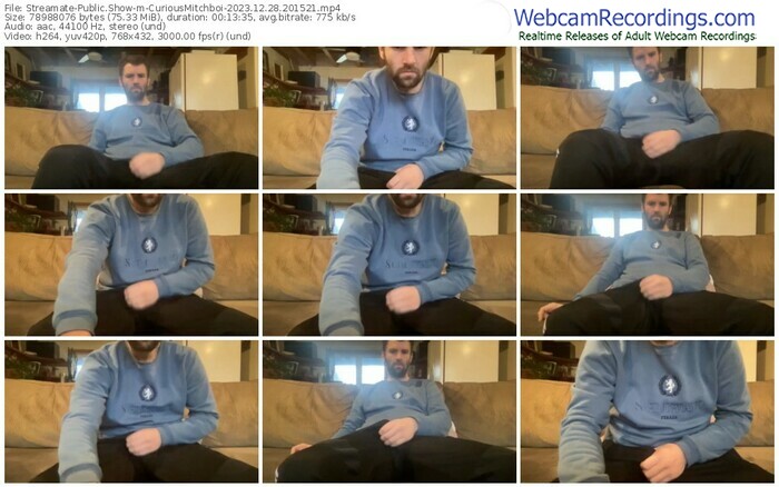 streamate-curiousmitchboi-12-28-2023-20-15-21