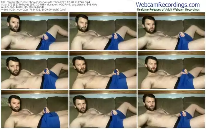 streamate-curiousmitchboi-12-28-2023-21-12-46