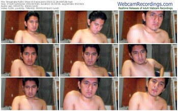 streamate-davislewis-12-28-2023-06-05-28