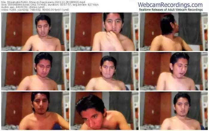 streamate-davislewis-12-28-2023-08-08-20