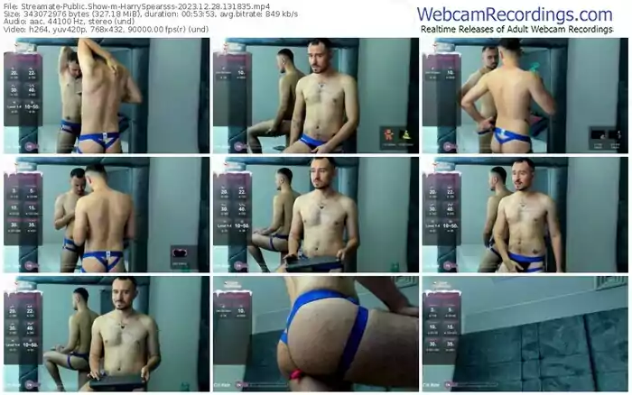 streamate-harryspearsss-12-28-2023-13-18-35