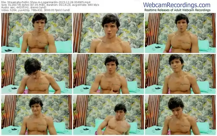 streamate-loganhardin-12-28-2023-00-49-05