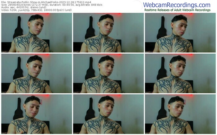 streamate-michaelforks-12-28-2023-17-59-12