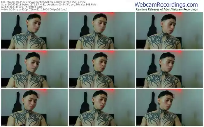 streamate-michaelforks-12-28-2023-17-59-12