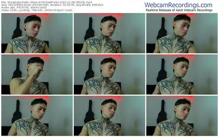 streamate-michaelforks-12-28-2023-18-50-31