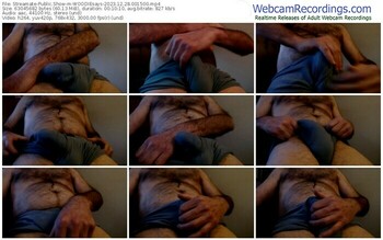 streamate-woodiesays-12-28-2023-00-15-00