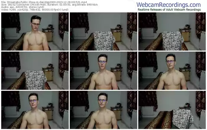 streamate-davidgg2000-12-28-2023-00-15-21