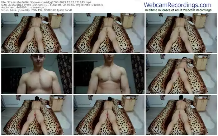 streamate-davidgg2000-12-28-2023-23-17-43