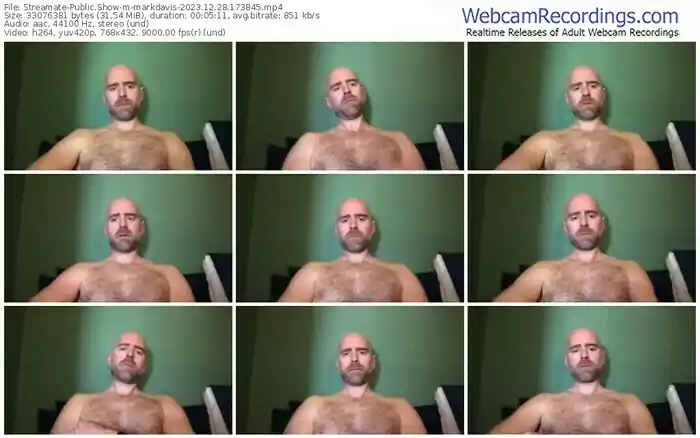 streamate-markdavis-12-28-2023-17-38-45