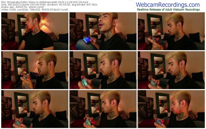 streamate-stefanoeverett-12-28-2023-09-17-26