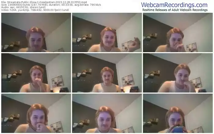 streamate-itssebastian-12-28-2023-01-35-53