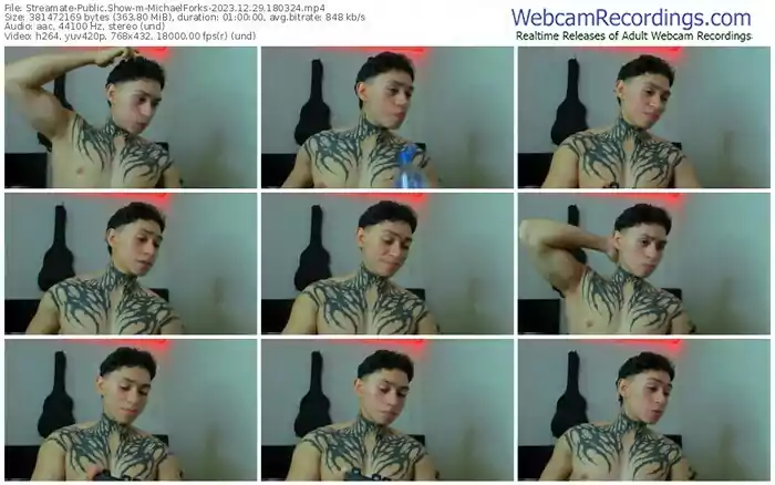 streamate-michaelforks-12-29-2023-18-03-24