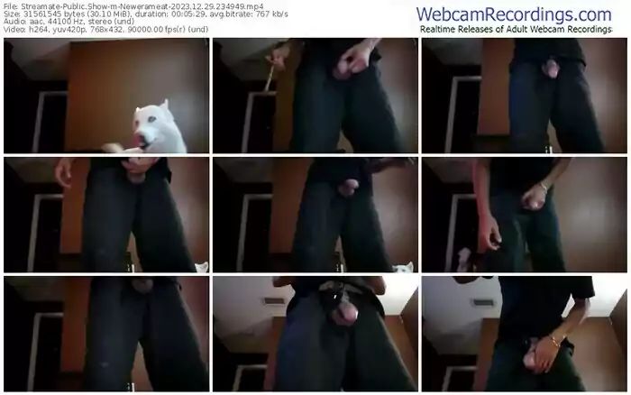 streamate-newerameat-12-29-2023-23-49-49