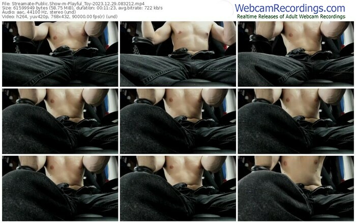 streamate-playful_toy-12-29-2023-08-32-12